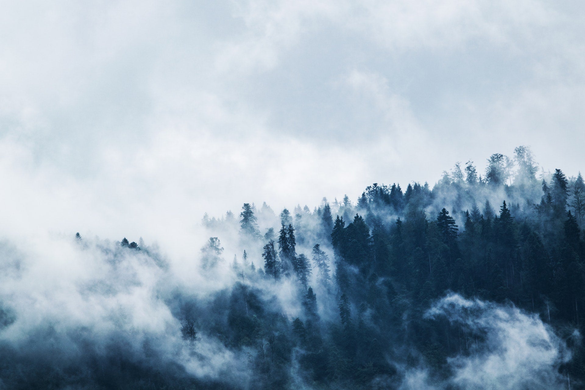 The History of Vaping: A Brief Introduction